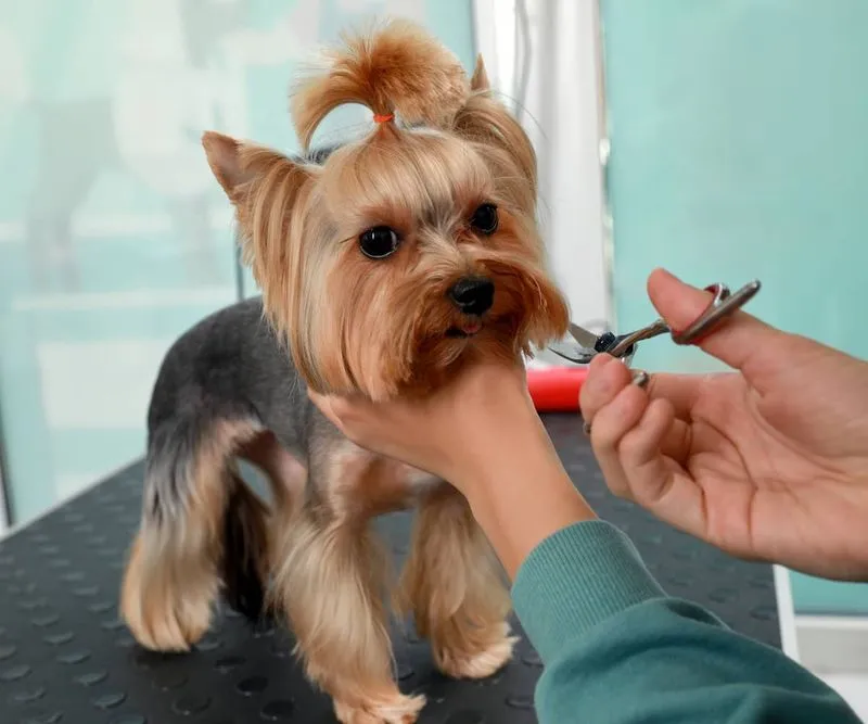 consulting firm digital projects showcased on devices